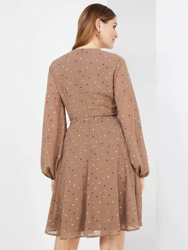 Dot Print Chiffon Fit & Flare Dress - Image 5
