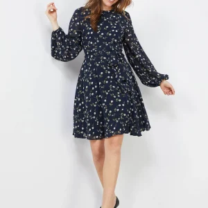 Floral Print Chiffon Fit & Flare Dress