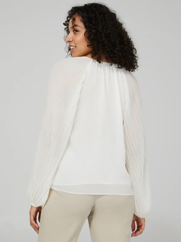 Plisse Chiffon Top With Pleated Balloon Sleeves - Image 4