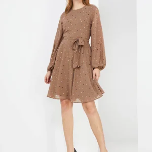 Dot Print Chiffon Fit & Flare Dress
