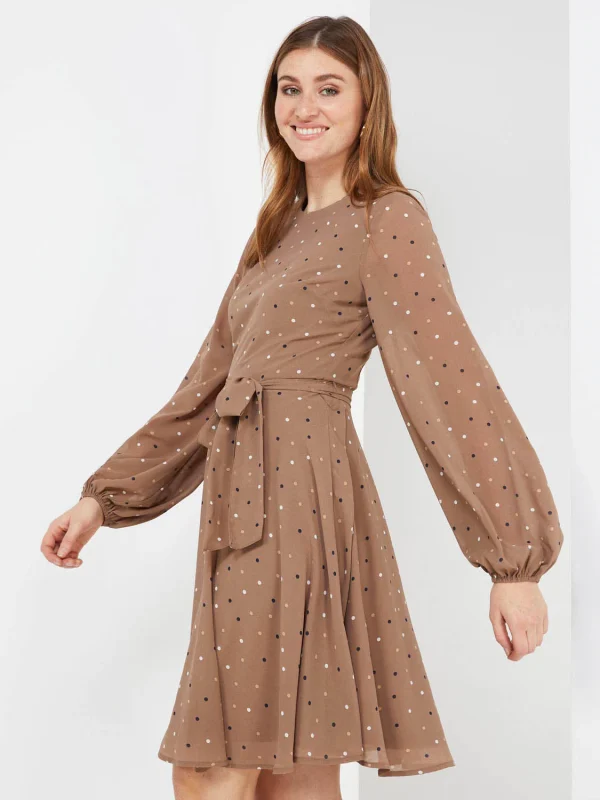Dot Print Chiffon Fit & Flare Dress - Image 4