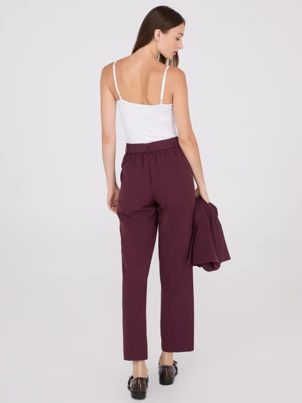 Mid-Rise Pleated Ankle Length Pants - Image 13